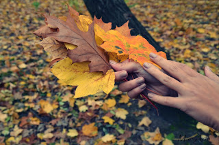 Autumn