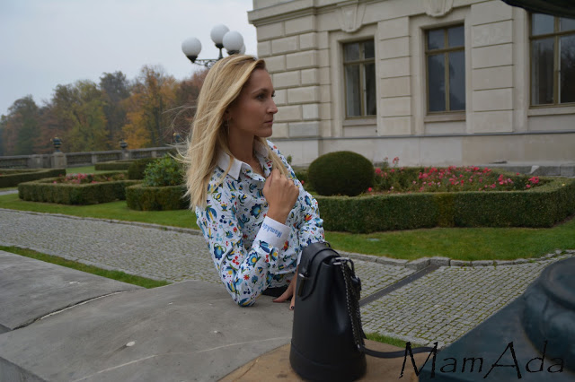 Perfect Ladies Shirt